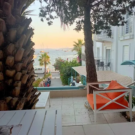 Mia Hill Αλικαρνασσός